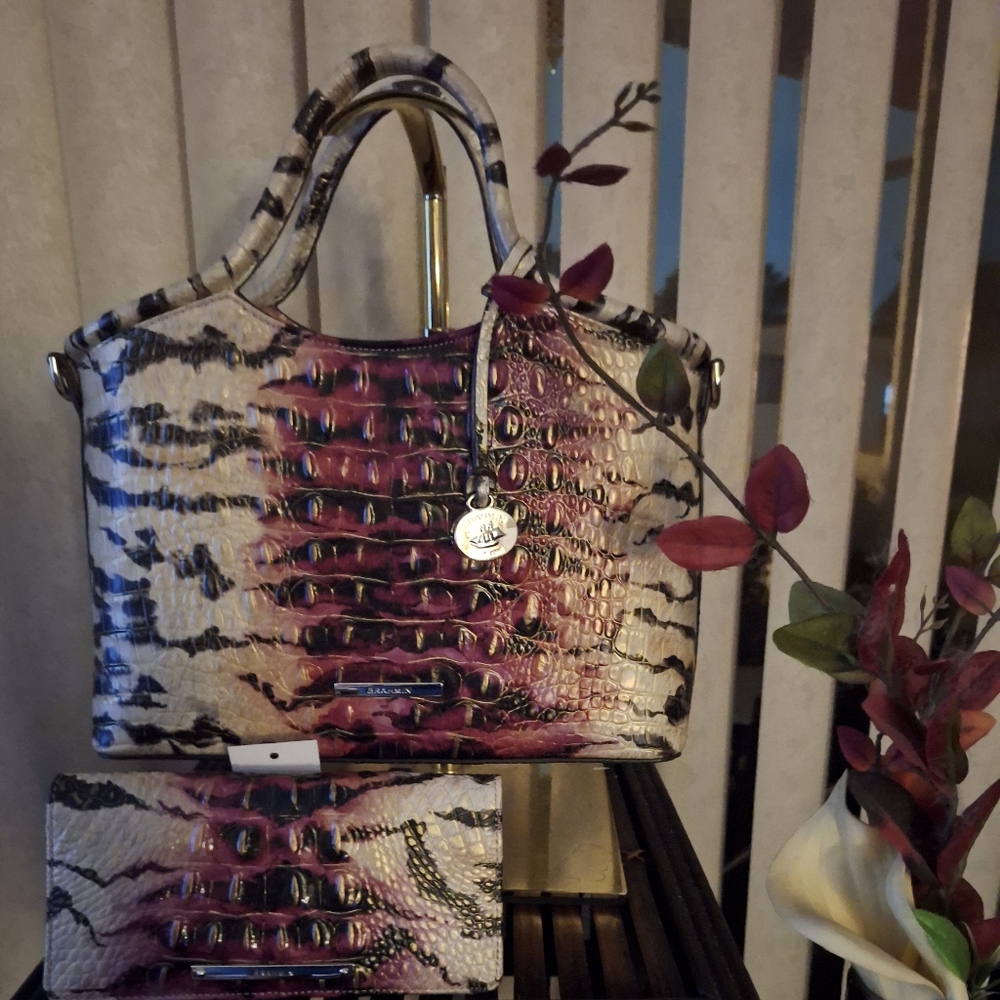 Brahmin Small Elaine Scarlett Ombre & Ady